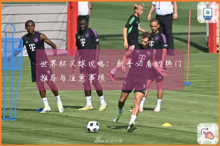 世界杯买球攻略：新手必看的热门推荐与注意事项
