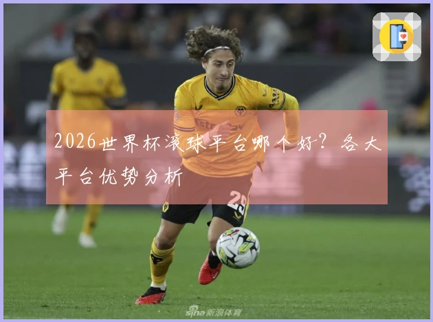 2026世界杯滚球平台哪个好？各大平台优势分析