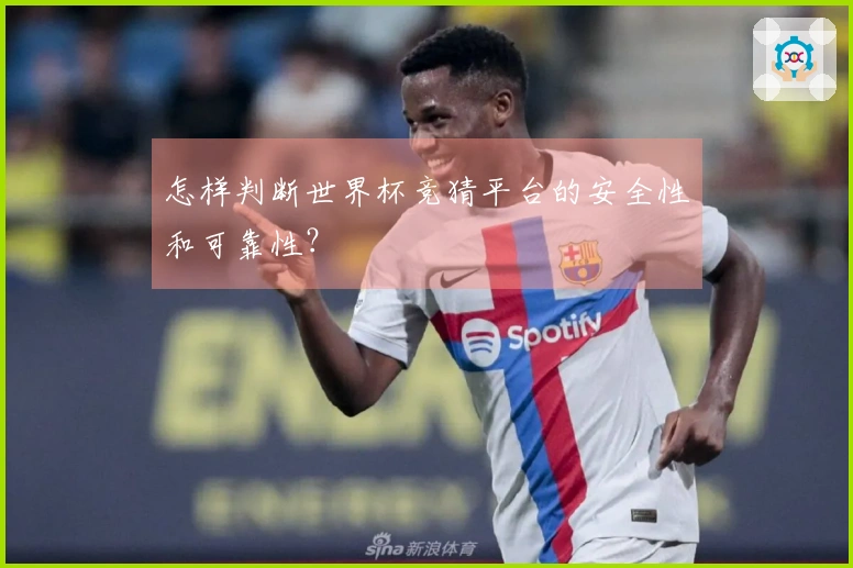 怎样判断世界杯竞猜平台的安全性和可靠性？
