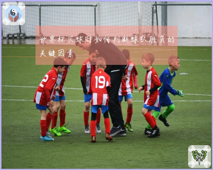 世界杯买球时如何判断球队胜负的关键因素