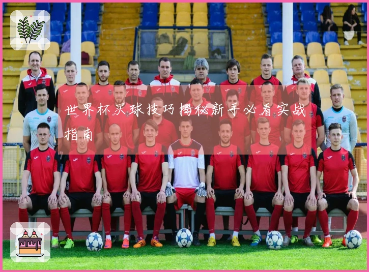 世界杯买球技巧揭秘新手必看实战指南