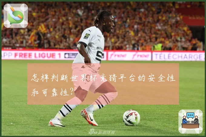 怎样判断世界杯竞猜平台的安全性和可靠性？