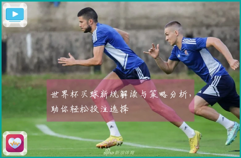 世界杯买球新规解读与策略分析，助你轻松投注选择