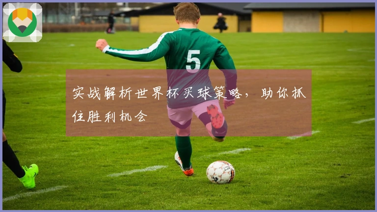 实战解析世界杯买球策略，助你抓住胜利机会