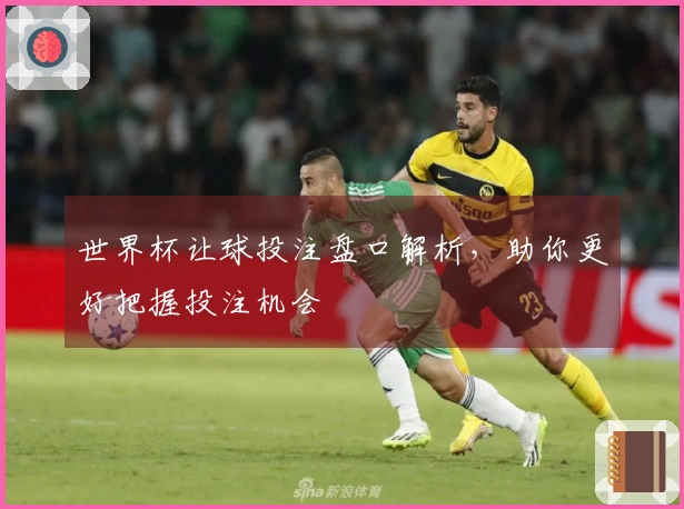世界杯让球投注盘口解析，助你更好把握投注机会