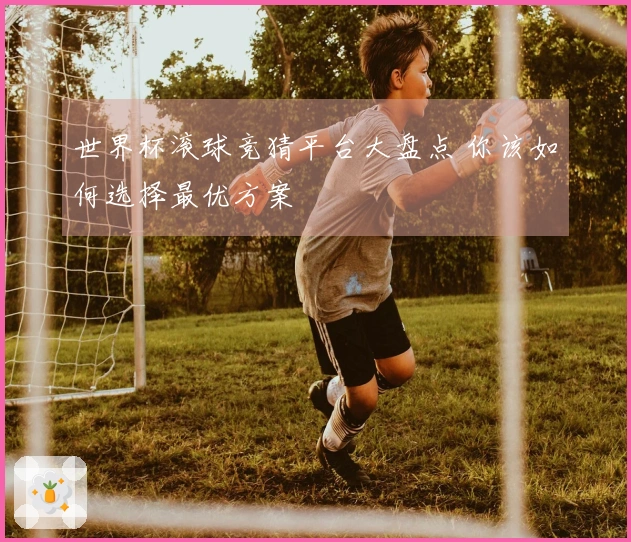 世界杯滚球竞猜平台大盘点 你该如何选择最优方案