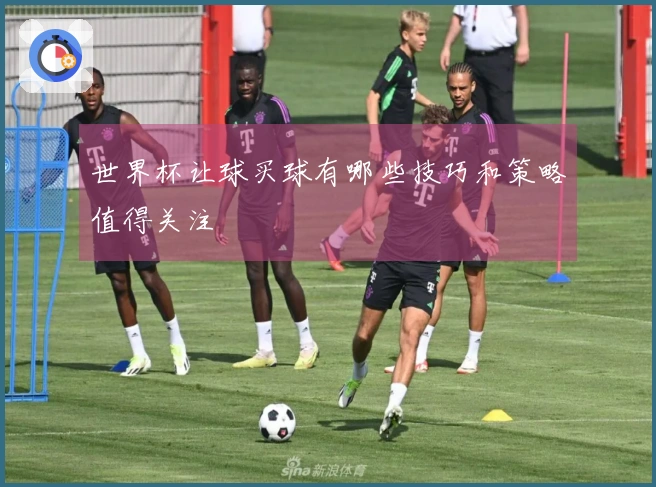 世界杯让球买球有哪些技巧和策略值得关注