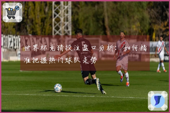 世界杯竞猜投注盘口分析：如何精准把握热门球队走势