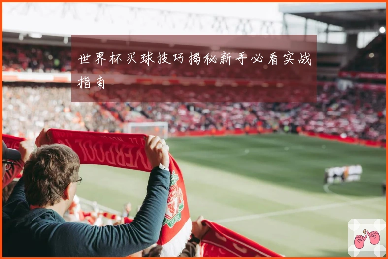 世界杯买球技巧揭秘新手必看实战指南