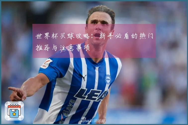 世界杯买球攻略：新手必看的热门推荐与注意事项